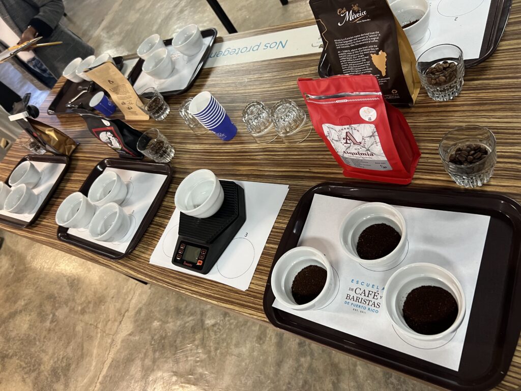 A variety of coffees are set out for a tasting event.
